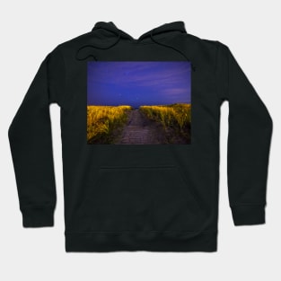 The Starry Path to Good Harbor Beach in Gloucester, MA Hoodie